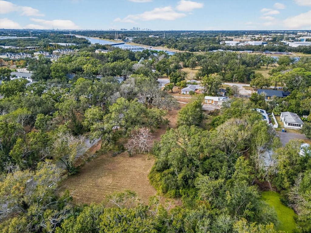 4501 Clewis Avenue Tampa, FL 33610 - Photo 6 of 12 a view of a city with lush green forest