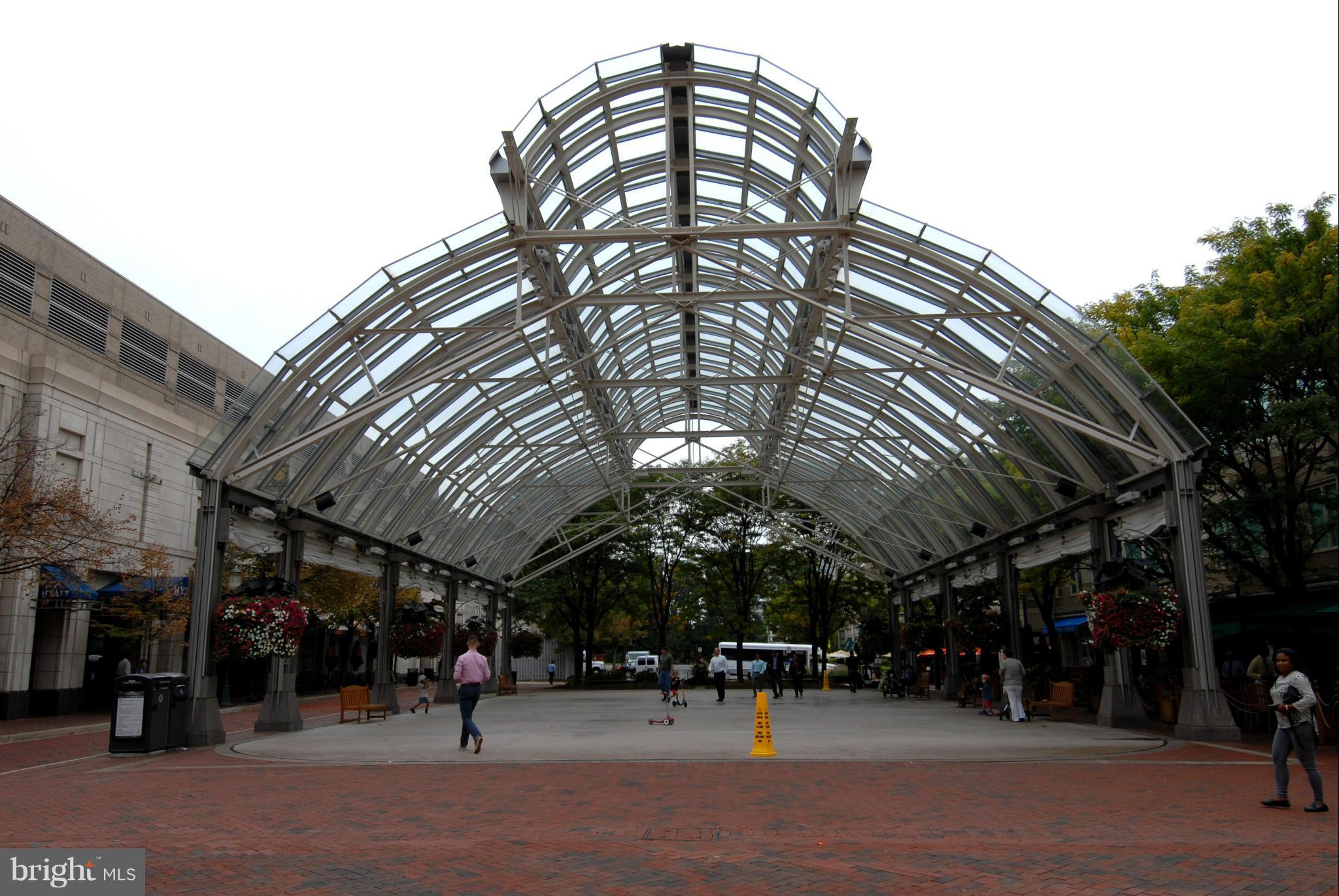 1300 Windleaf Drive, Unit A Reston, VA 20194 - Photo 28 of 30 Town Center Pavilion/Skating Rink