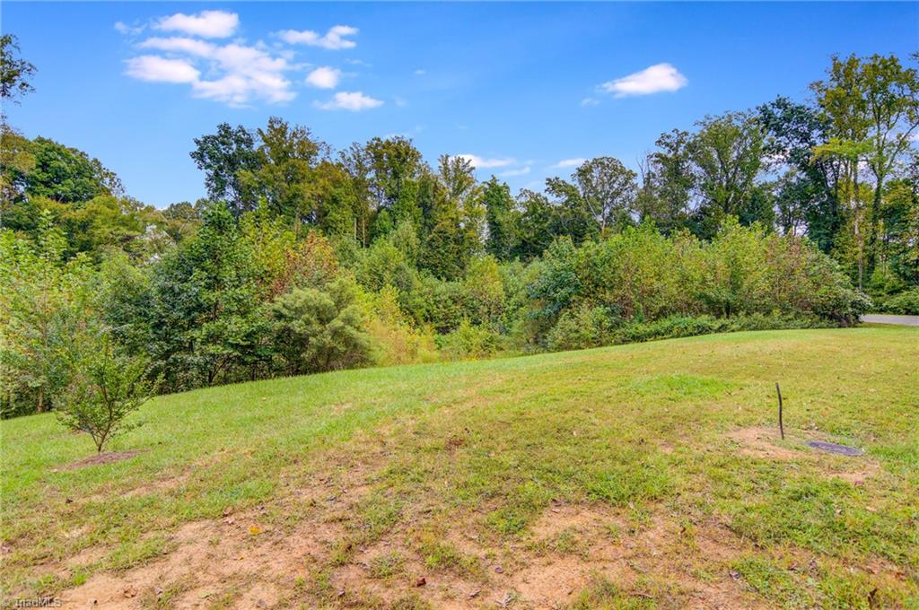 7831 Lasater Road Clemmons, NC 27012 - Photo 35 of 48 Gallery Image 35