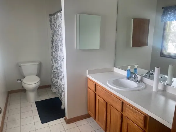 a bathroom with a sink and a toilet