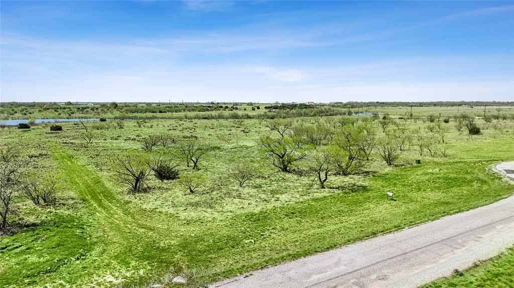 1041 Goodnight Trail Perrin, TX 76486 - Photo 5 of 5