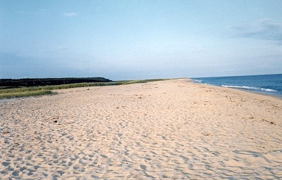 8 Boldwater Road Edgartown, MA 02539 - Photo 50 of 50 Gallery Image 50