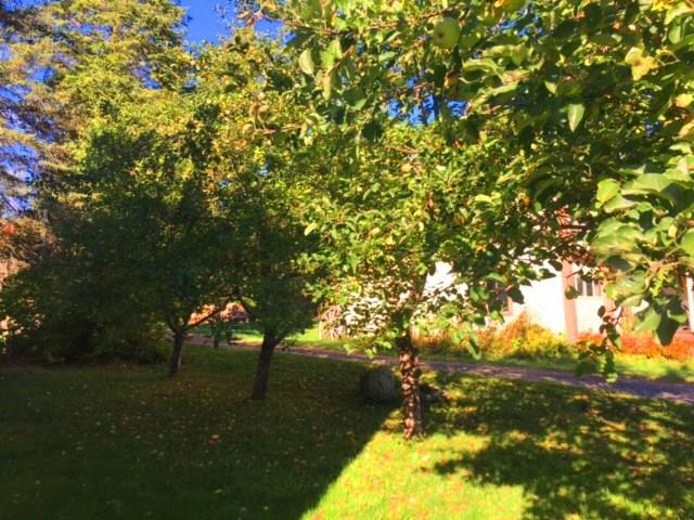 176 Main Street Stratton, ME 04982 - Photo 3 of 28 Photo
