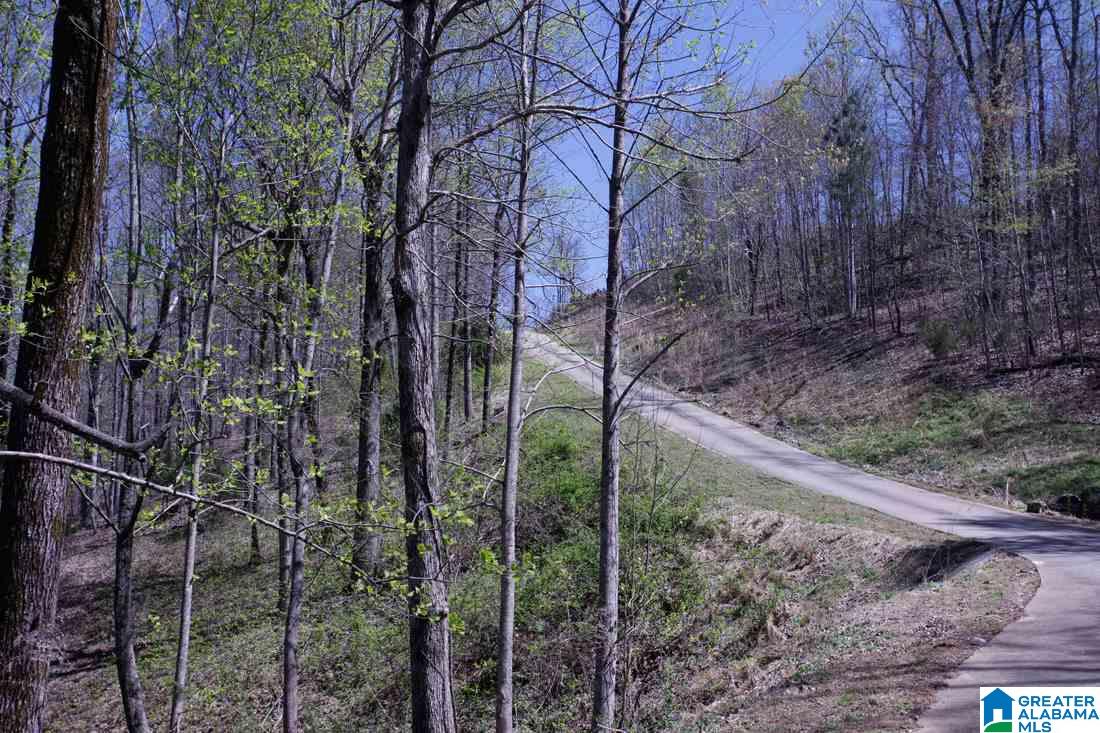 7625 Old Springville Road Trussville, AL 35173 - Photo 2 of 49