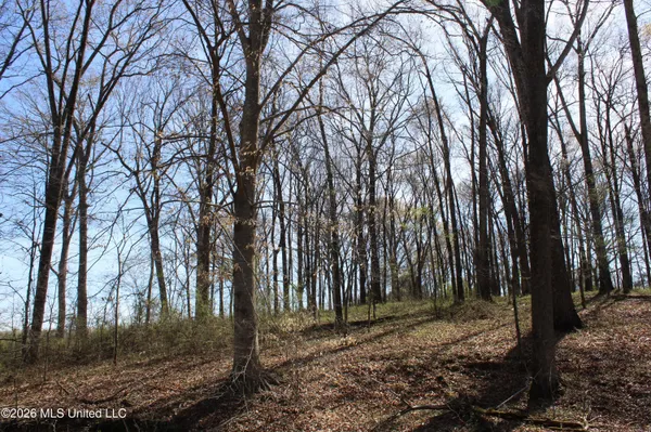 $67,500 | 9 Barton Desoto Road, Olive Branch, MS 38654
