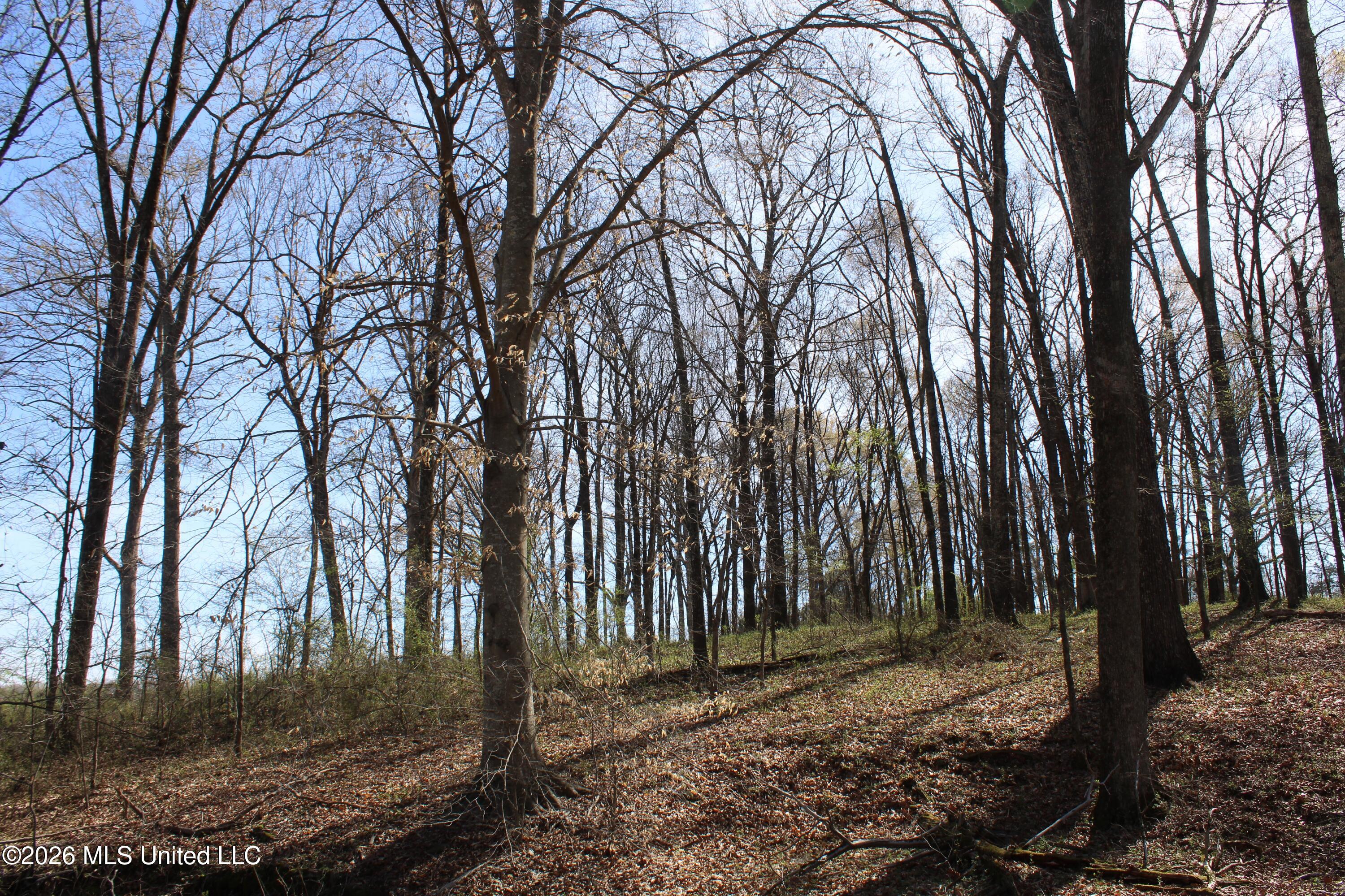 9 Barton Desoto Road Olive Branch, MS 38654 - Photo 1 of 9 land