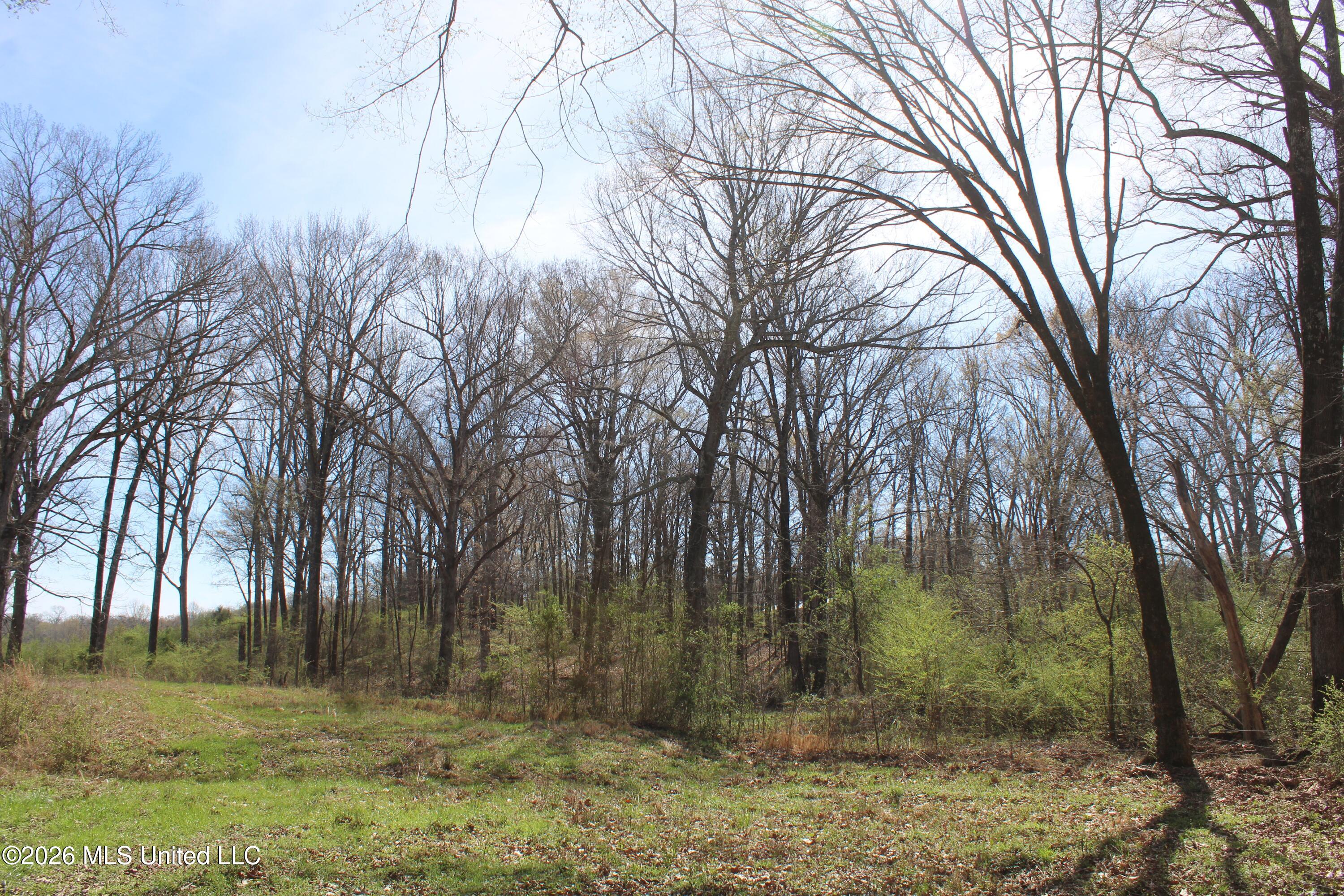 9 Barton Desoto Road Olive Branch, MS 38654 - Photo 4 of 9 IMG_7508