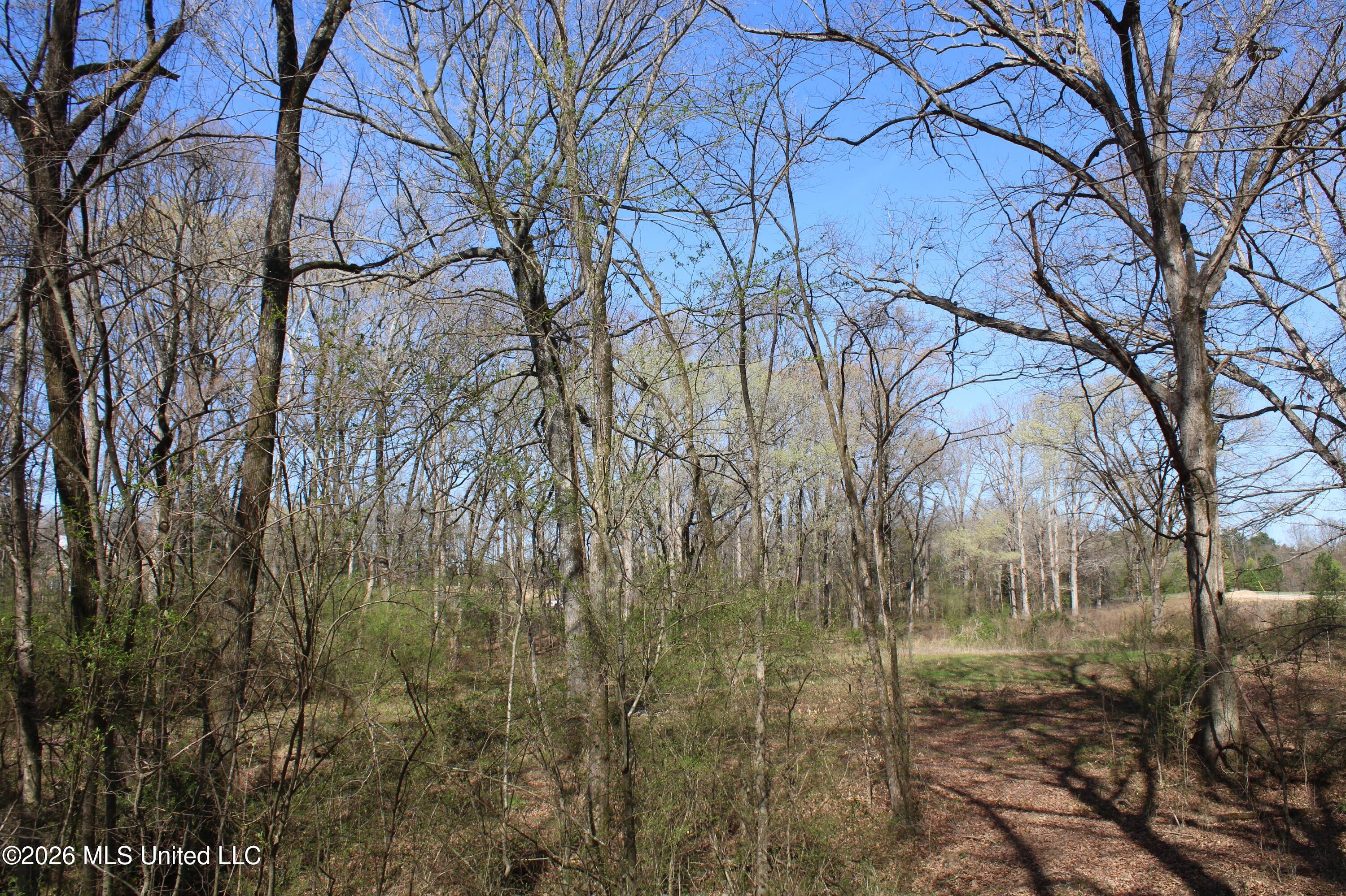 9 Barton Desoto Road Olive Branch, MS 38654 - Photo 5 of 9 IMG_7513