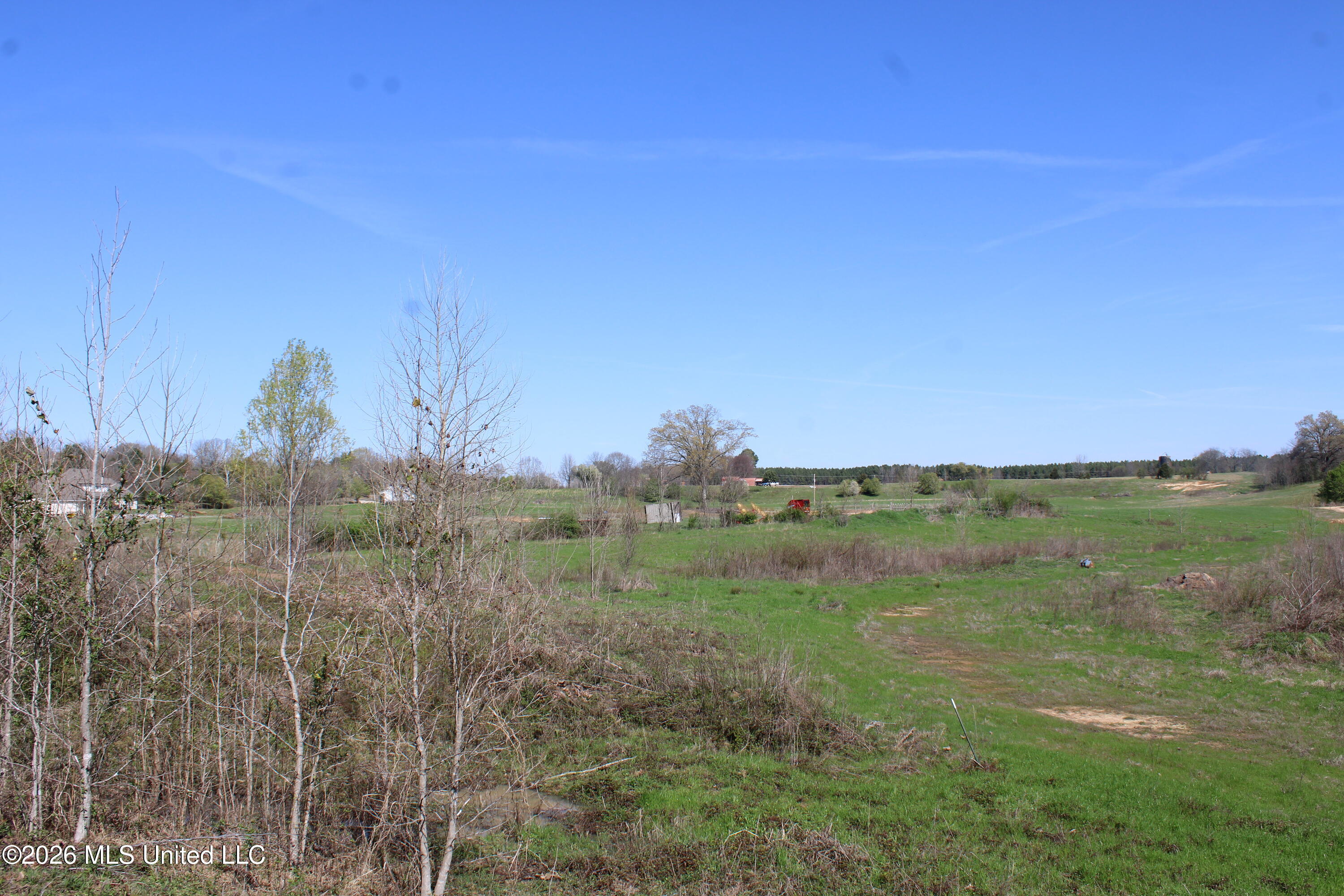 9 Barton Desoto Road Olive Branch, MS 38654 - Photo 6 of 9 IMG_7520