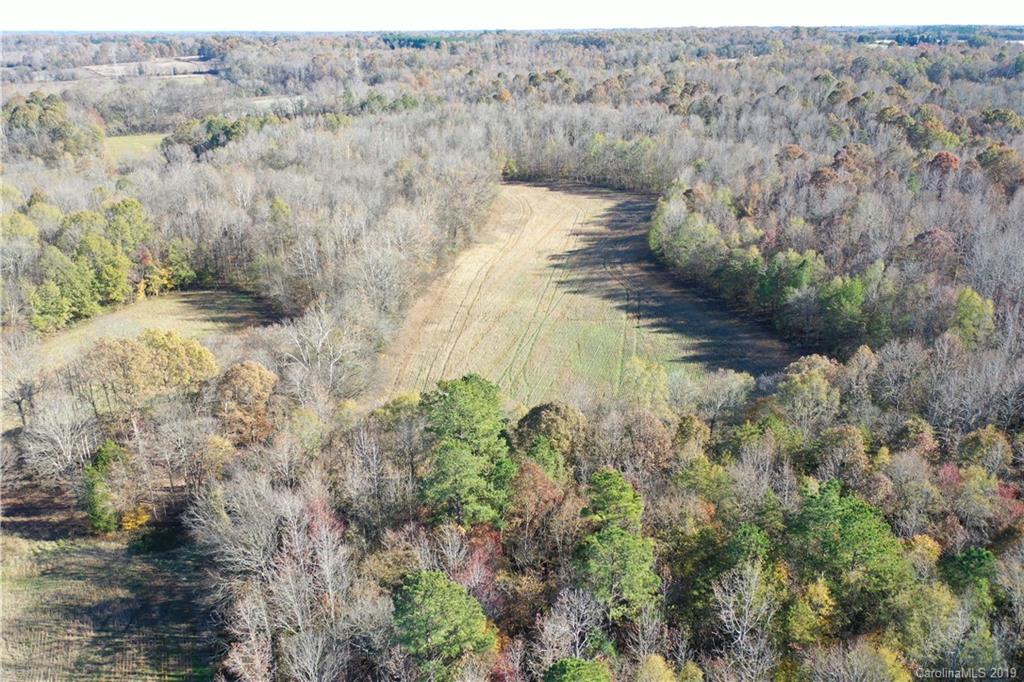 44-acres Mt Vernon Road Woodleaf, NC 27054 - Photo 2 of 14 Gallery Image 2