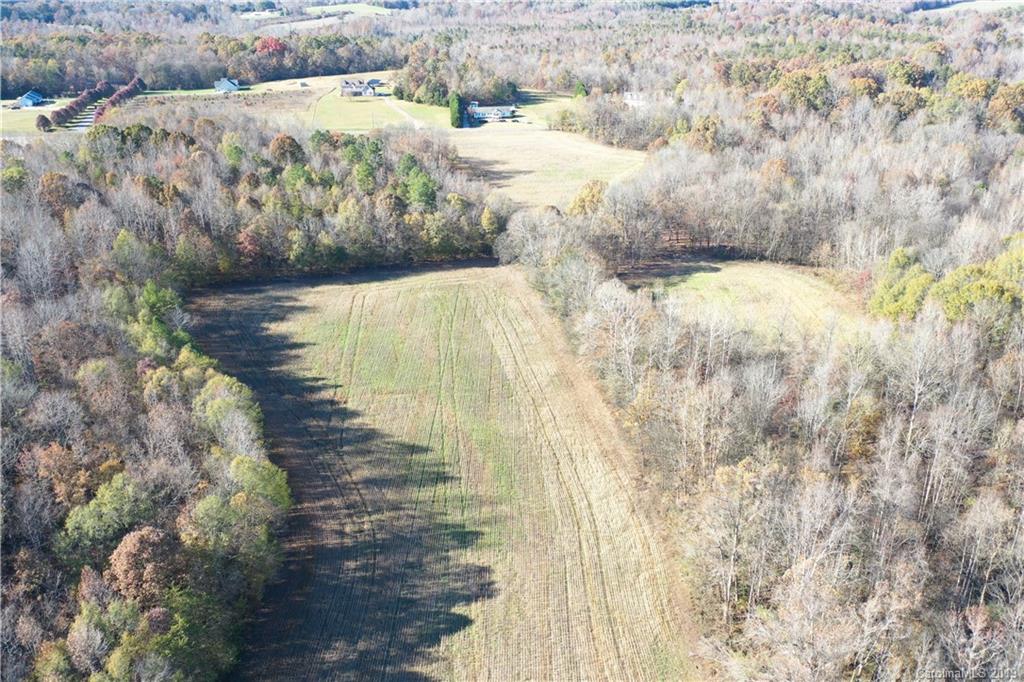 44-acres Mt Vernon Road Woodleaf, NC 27054 - Photo 3 of 14 Gallery Image 3