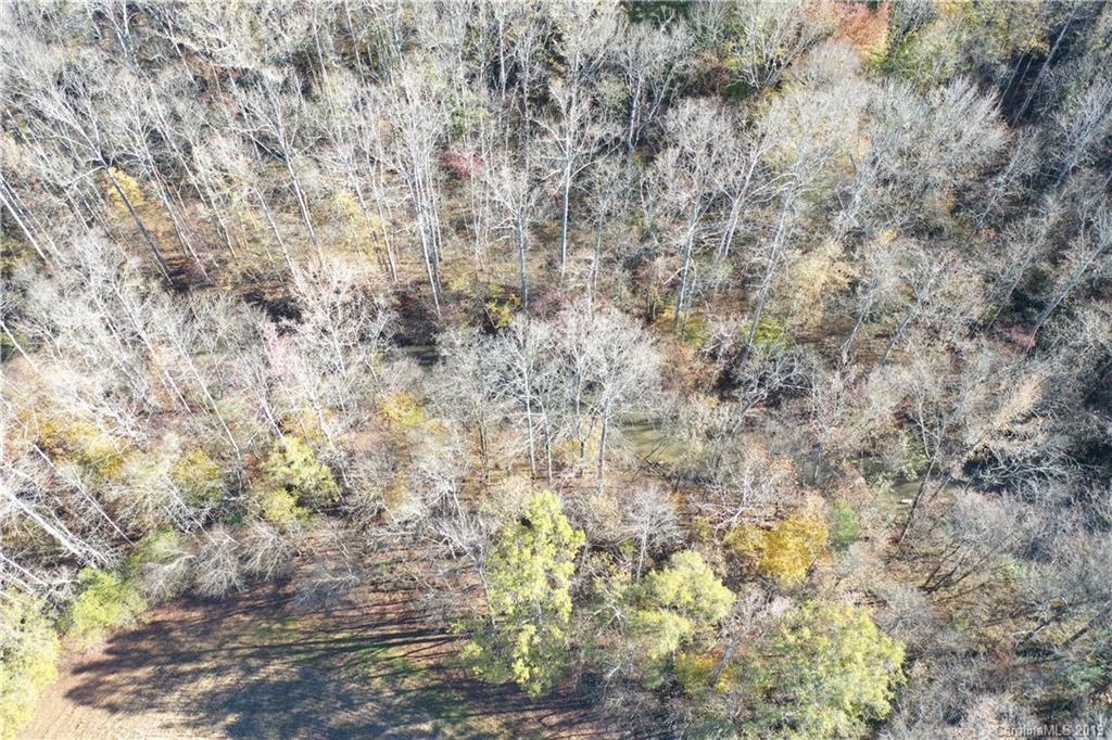 44-acres Mt Vernon Road Woodleaf, NC 27054 - Photo 4 of 14 Gallery Image 4