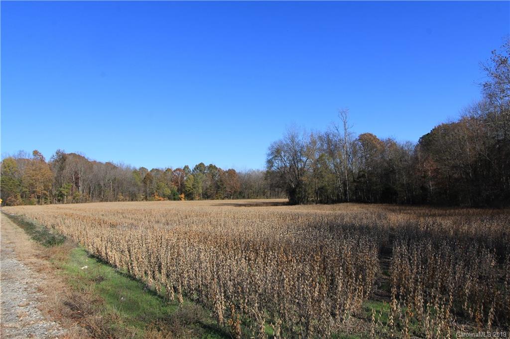 44-acres Mt Vernon Road Woodleaf, NC 27054 - Photo 5 of 14 Gallery Image 5