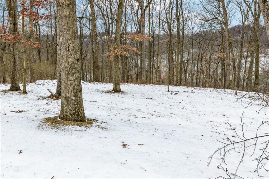 2508 Woodbine Road Aliquippa, PA 15001 - Photo 37 of 46 a view of a yard with snow