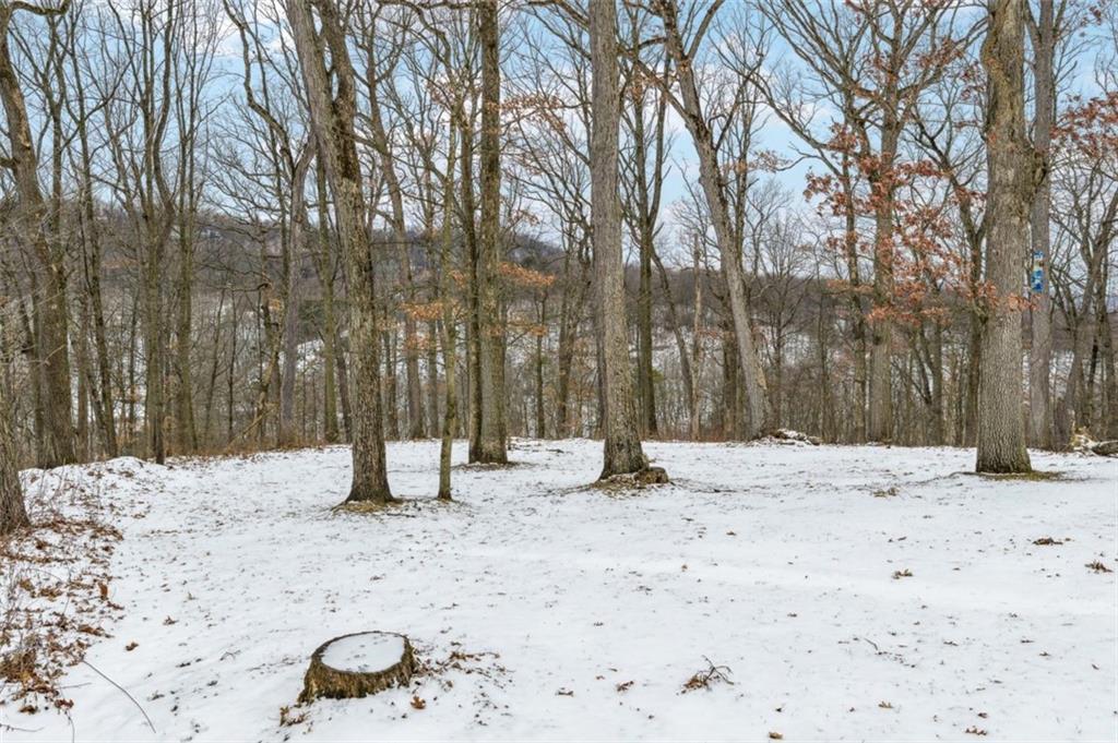2508 Woodbine Road Aliquippa, PA 15001 - Photo 38 of 46 a view of a yard with snow