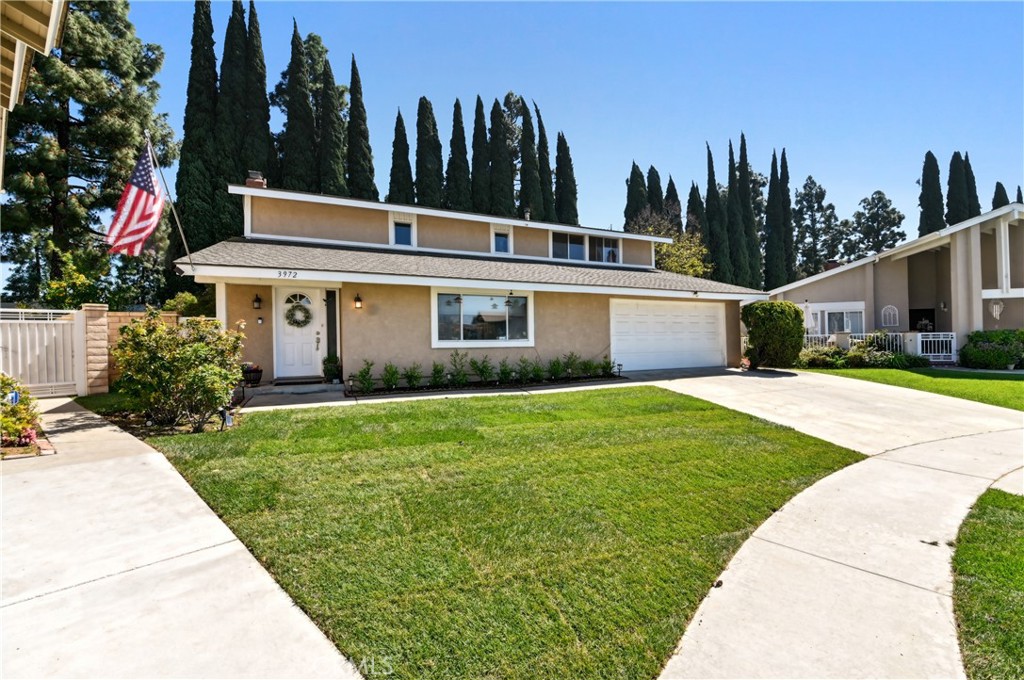 a view of a white house with a yard plants and palm trees