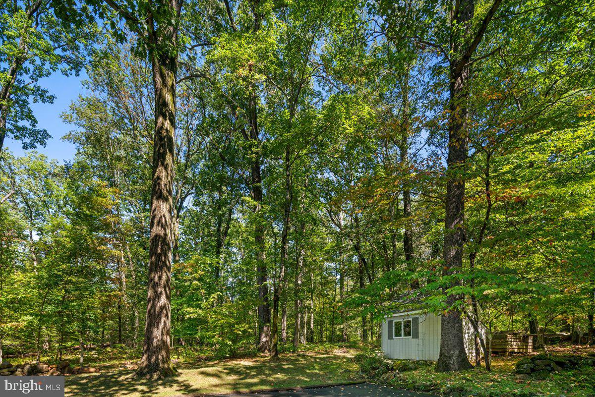 1005 Stuart Road Princeton, NJ 08540 - Photo 32 of 42 Shed snuggled under the trees