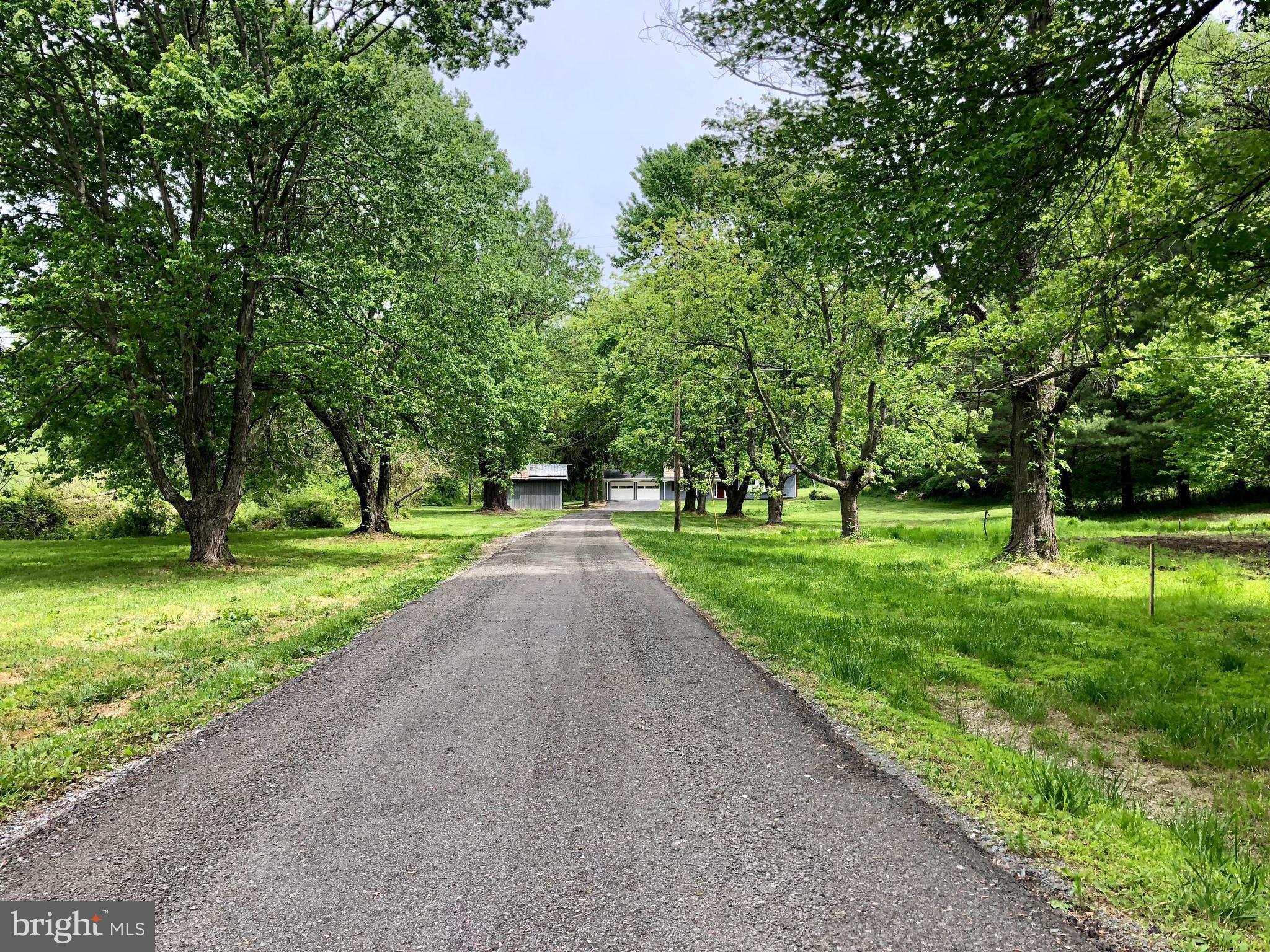10826 Old Annapolis Road Frederick, MD 21701 - Photo 21 of 23 NEW DRIVEWAY WITH OUTBUILDINGS