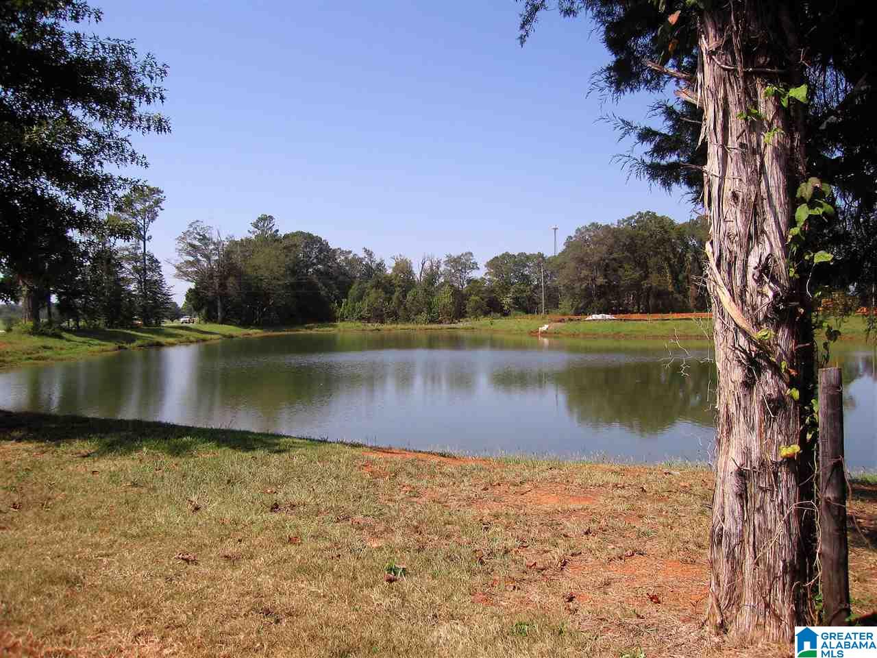 792 Michelle Manor Calera, AL 35040 - Photo 5 of 8
