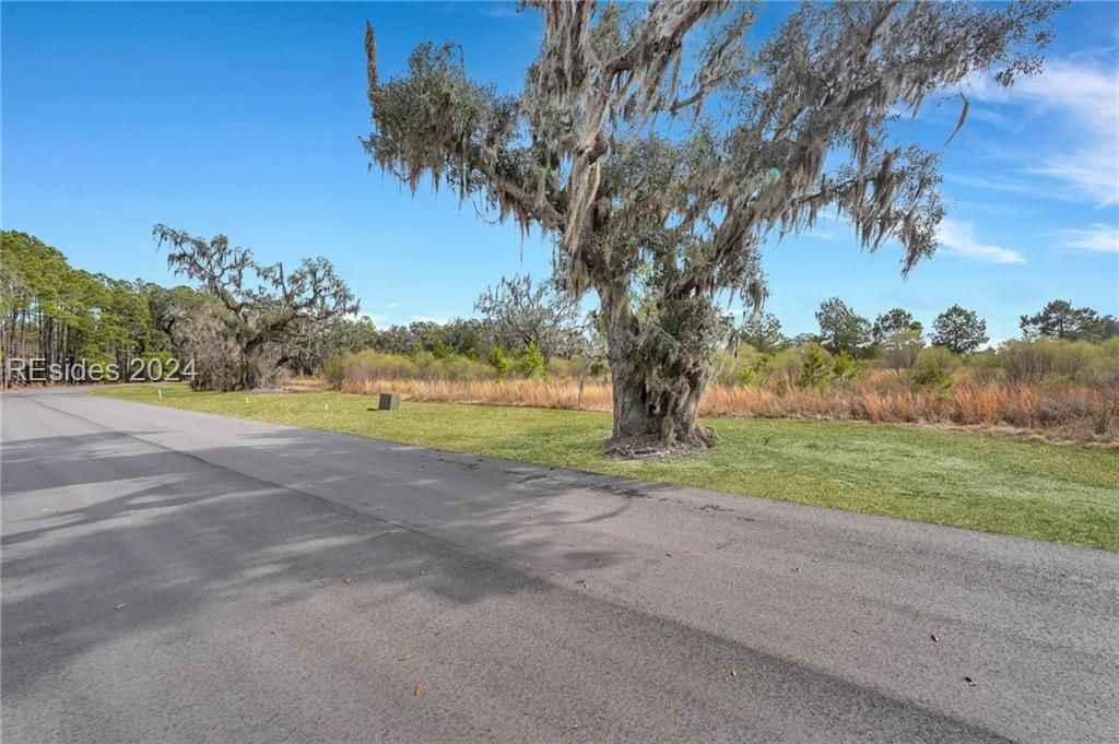 1513 Hunters Loop South Hardeeville, SC 29927 - Photo 25 of 27 Imported from resides