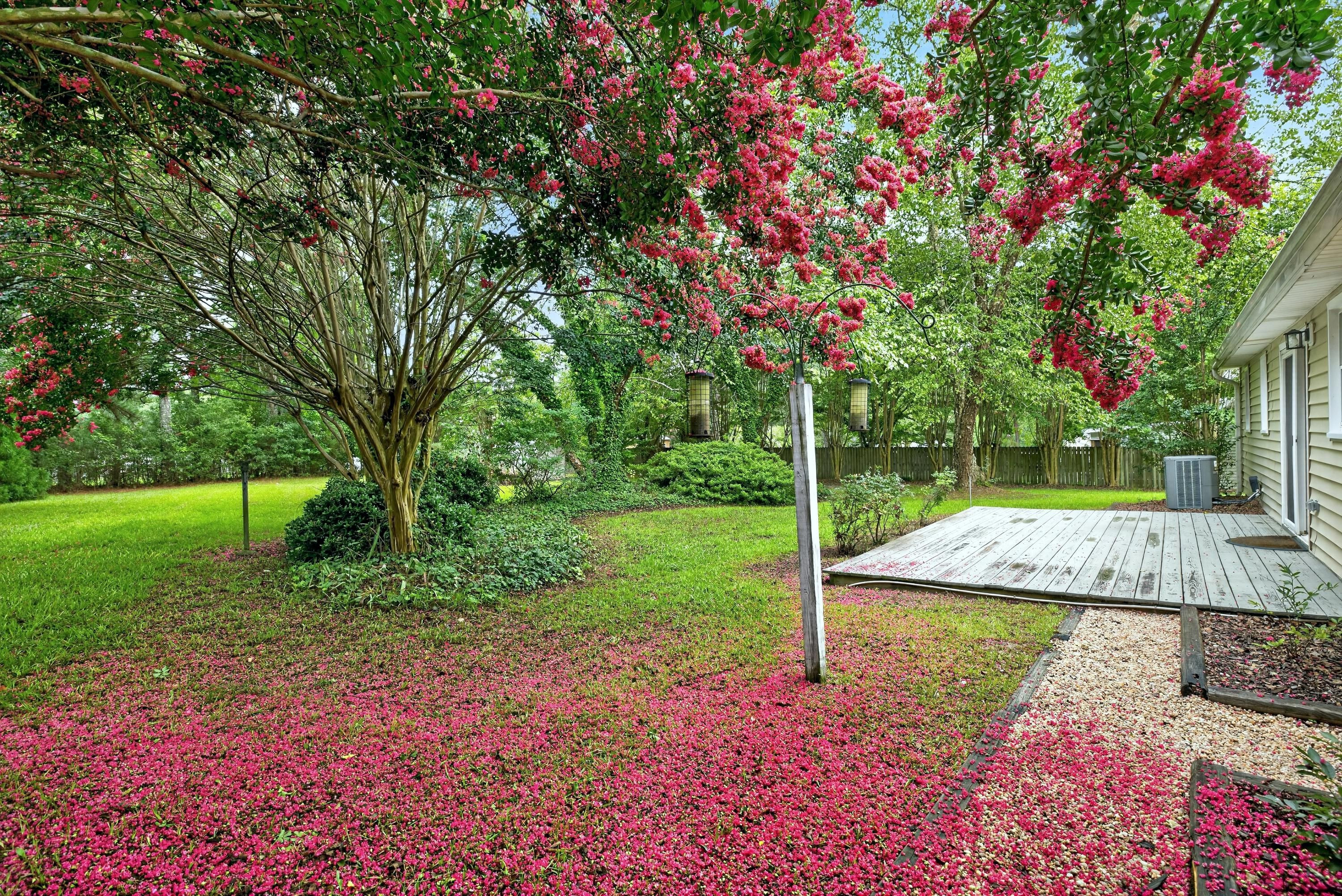 1517 Old Clayton Road Willow Spring, NC 27592 - Photo 5 of 60 _B5A5973-3000.jpg