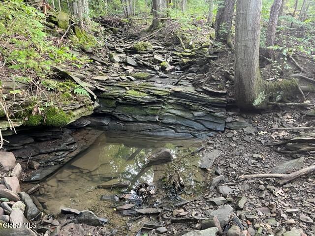 L10.2 Hughes Road Fultonville, NY 12072 - Photo 33 of 63 IMG_4569