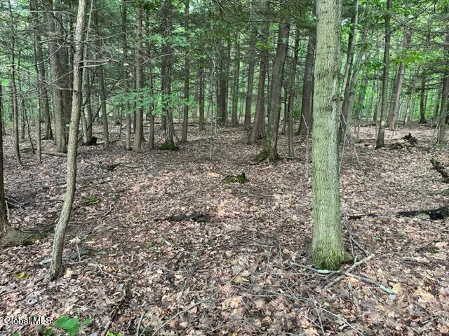 L10.2 Hughes Road Fultonville, NY 12072 - Photo 36 of 63 IMG_4563