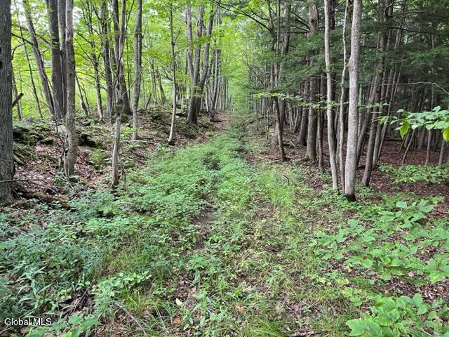 L10.2 Hughes Road Fultonville, NY 12072 - Photo 38 of 63 IMG_4561