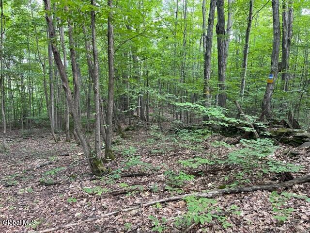 L10.2 Hughes Road Fultonville, NY 12072 - Photo 40 of 63 IMG_4559