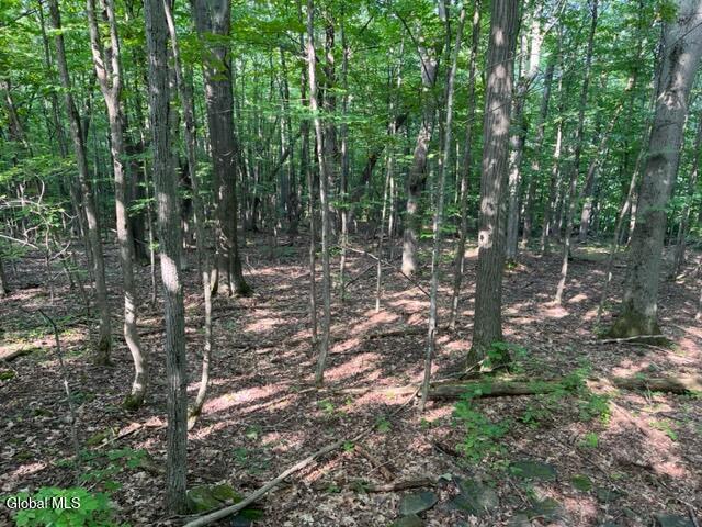 L10.2 Hughes Road Fultonville, NY 12072 - Photo 41 of 63 IMG_4558