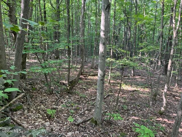 L10.2 Hughes Road Fultonville, NY 12072 - Photo 42 of 63 IMG_4557