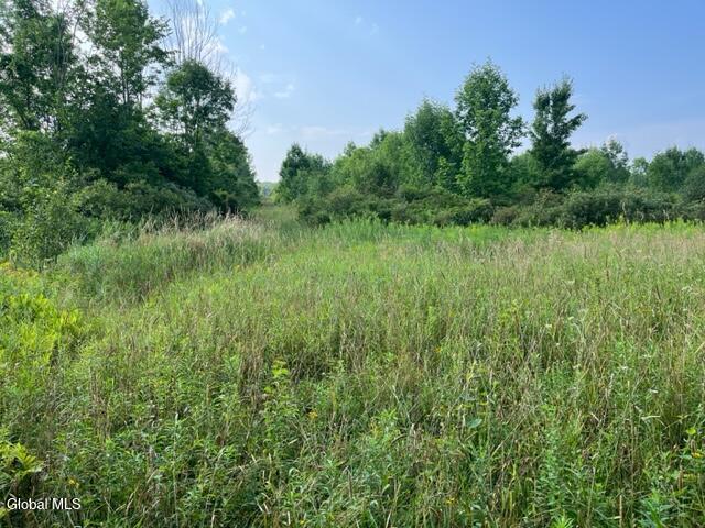 L10.2 Hughes Road Fultonville, NY 12072 - Photo 44 of 63 IMG_4555