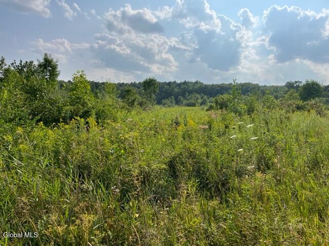 L10.2 Hughes Road Fultonville, NY 12072 - Photo 46 of 63 IMG_4553