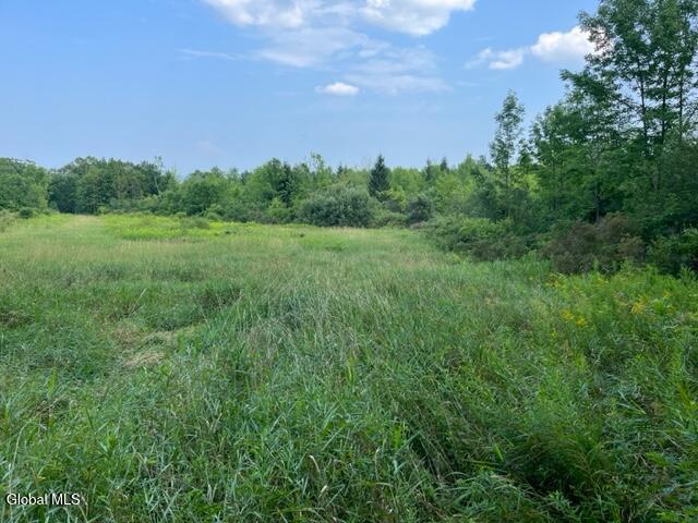 L10.2 Hughes Road Fultonville, NY 12072 - Photo 49 of 63 IMG_4550