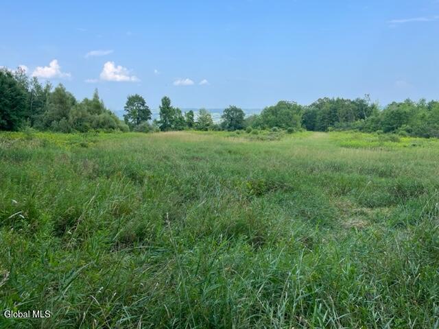 L10.2 Hughes Road Fultonville, NY 12072 - Photo 50 of 63 IMG_4549