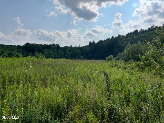 L10.2 Hughes Road Fultonville, NY 12072 - Photo 53 of 63 IMG_4546