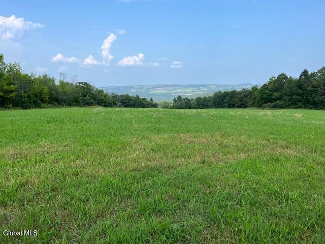 L10.2 Hughes Road Fultonville, NY 12072 - Photo 54 of 63 IMG_4545