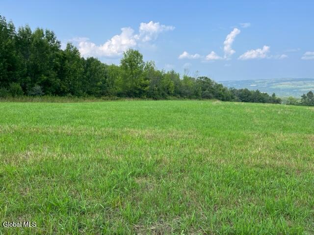 L10.2 Hughes Road Fultonville, NY 12072 - Photo 55 of 63 IMG_4544