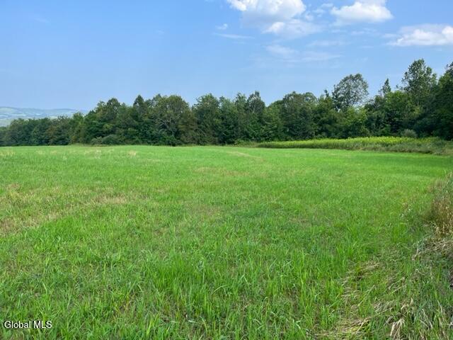 L10.2 Hughes Road Fultonville, NY 12072 - Photo 56 of 63 IMG_4543