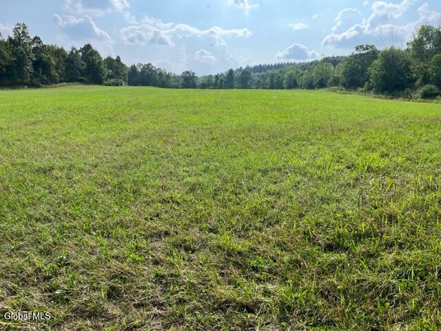 L10.2 Hughes Road Fultonville, NY 12072 - Photo 57 of 63 IMG_4542