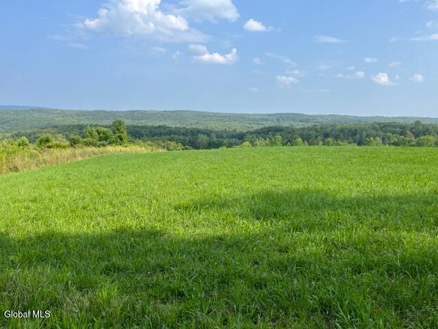 L10.2 Hughes Road Fultonville, NY 12072 - Photo 60 of 63 IMG_4536