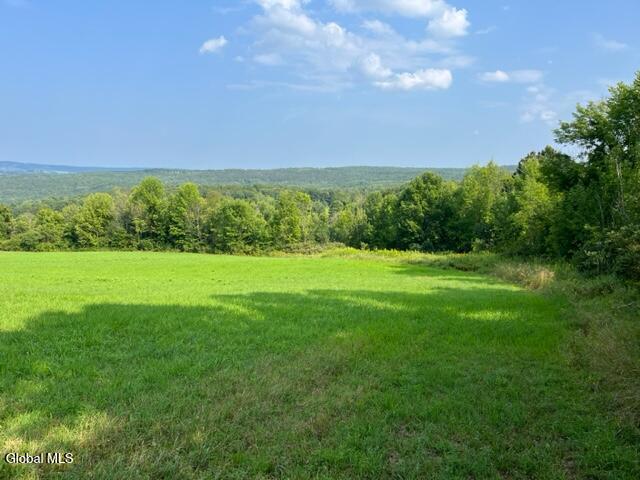 L10.2 Hughes Road Fultonville, NY 12072 - Photo 6 of 63 IMG_4540