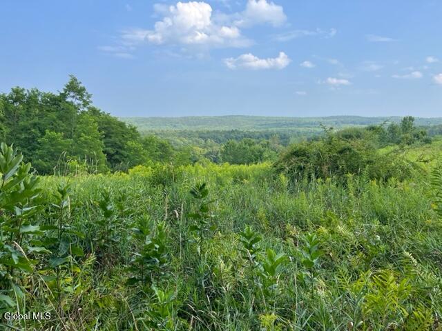 L10.2 Hughes Road Fultonville, NY 12072 - Photo 61 of 63 IMG_4534