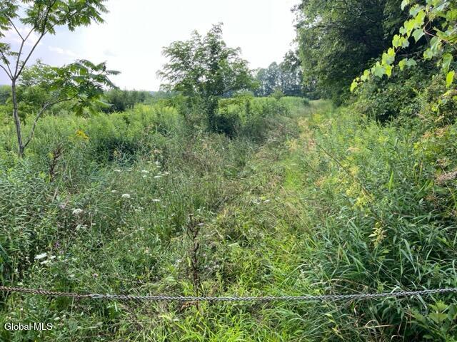 L10.2 Hughes Road Fultonville, NY 12072 - Photo 62 of 63 IMG_4533