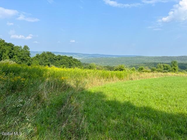 L10.2 Hughes Road Fultonville, NY 12072 - Photo 8 of 63 IMG_4535