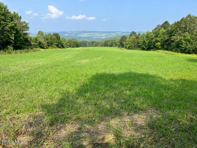 L10.2 Hughes Road Fultonville, NY 12072 - Photo 9 of 63 IMG_4541