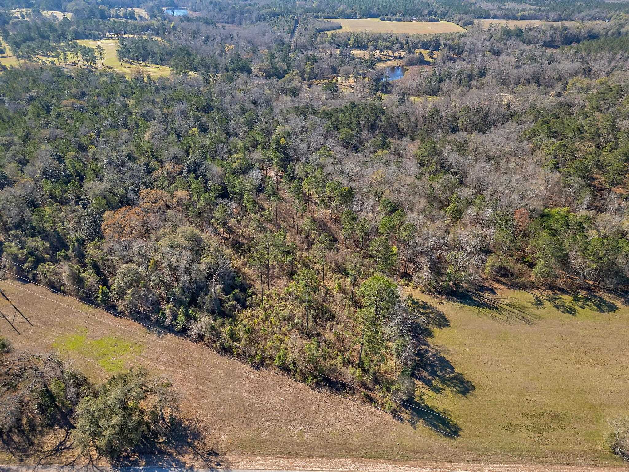 Xxx- Solomon Dairy Road Tallahassee, FL 32305 - Photo 4 of 11