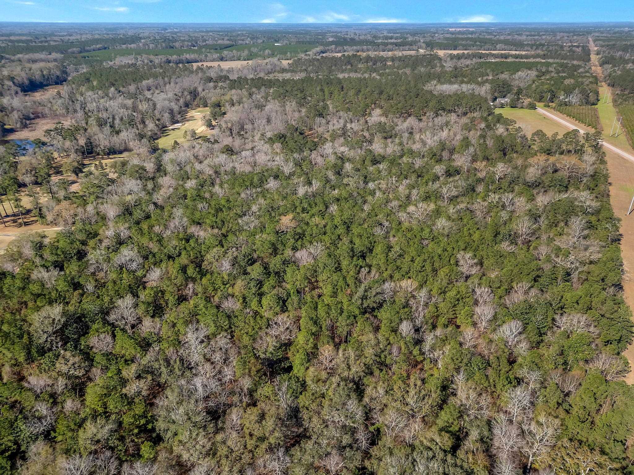 Xxx- Solomon Dairy Road Tallahassee, FL 32305 - Photo 8 of 11