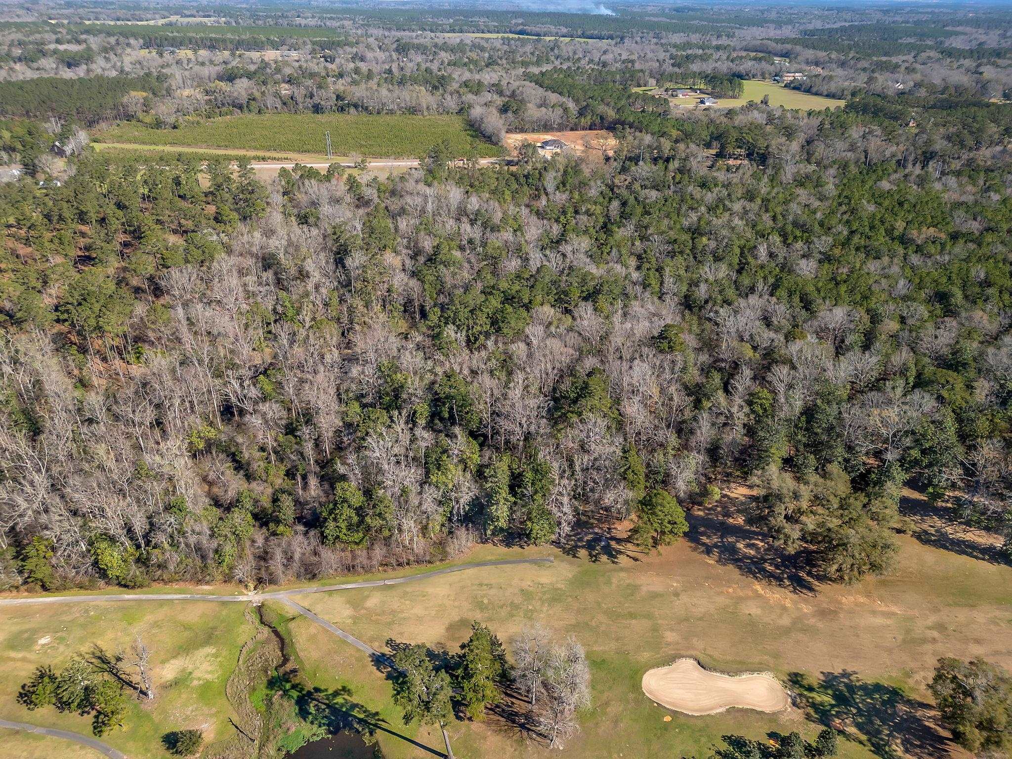 Xxx- Solomon Dairy Road Tallahassee, FL 32305 - Photo 9 of 11