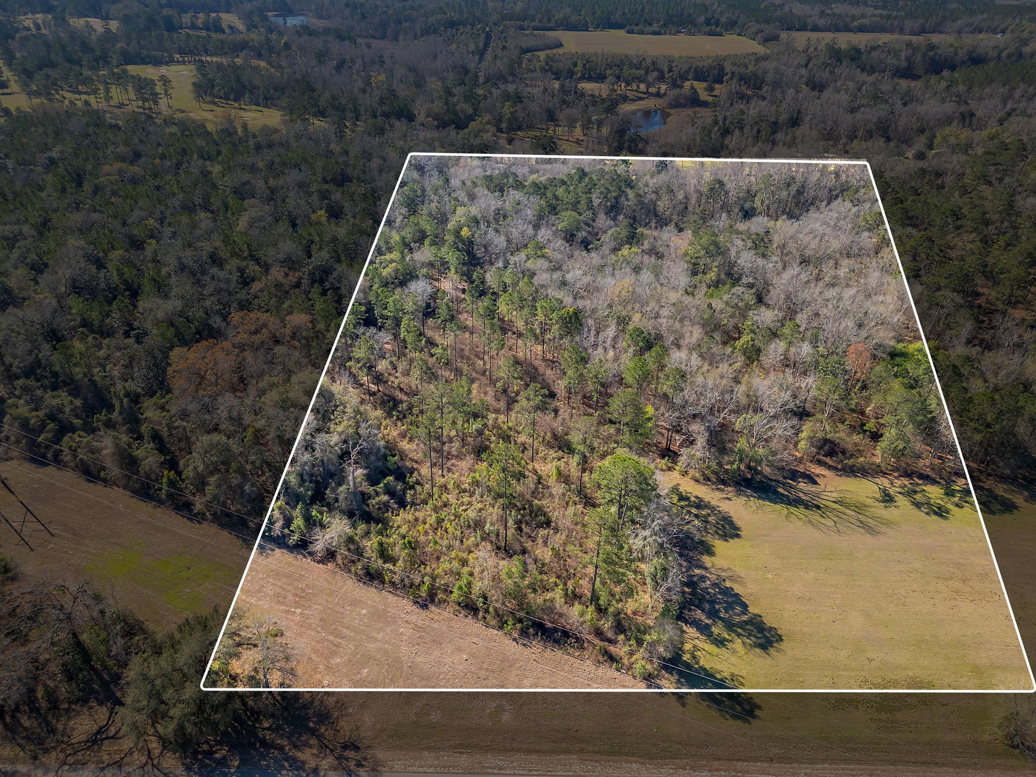 Xxx- Solomon Dairy Road Tallahassee, FL 32305 - Photo 10 of 11